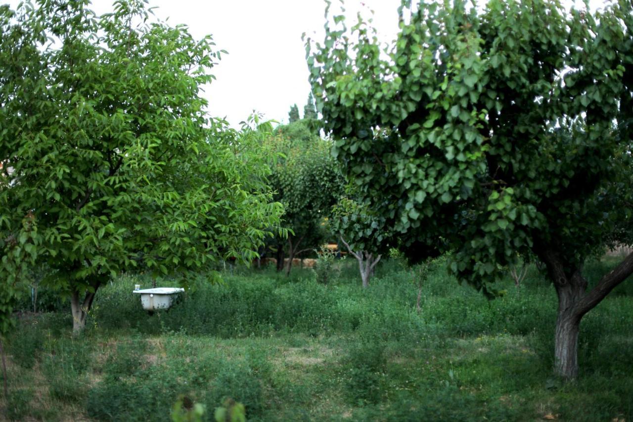 Noosh Guesthouse Ashnak ภายนอก รูปภาพ