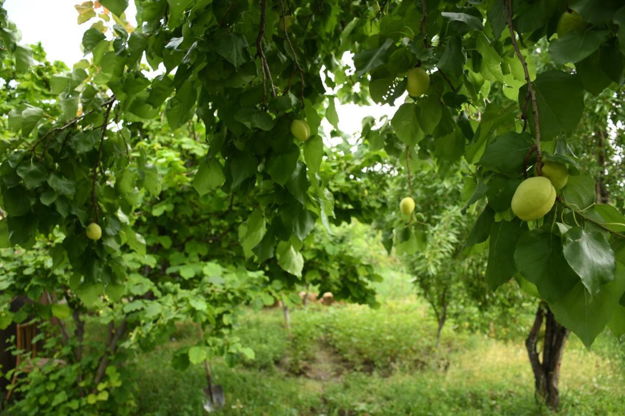 Noosh Guesthouse Ashnak ภายนอก รูปภาพ